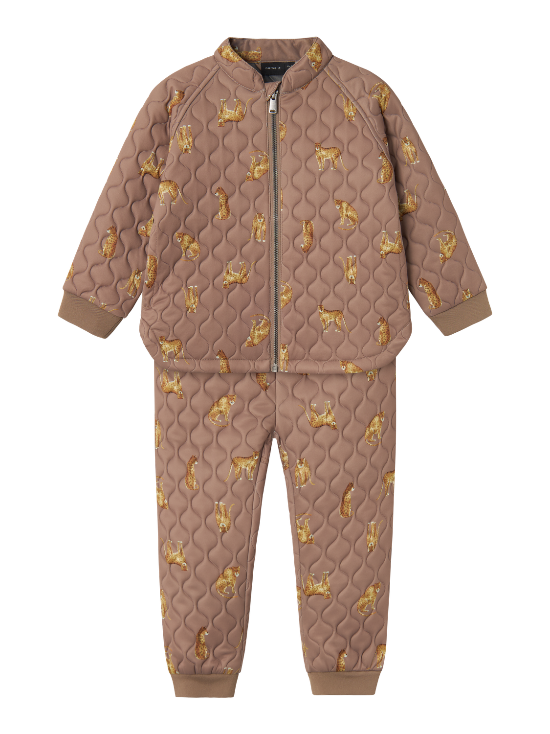 pack_shot-front