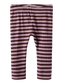 pack_shot-front