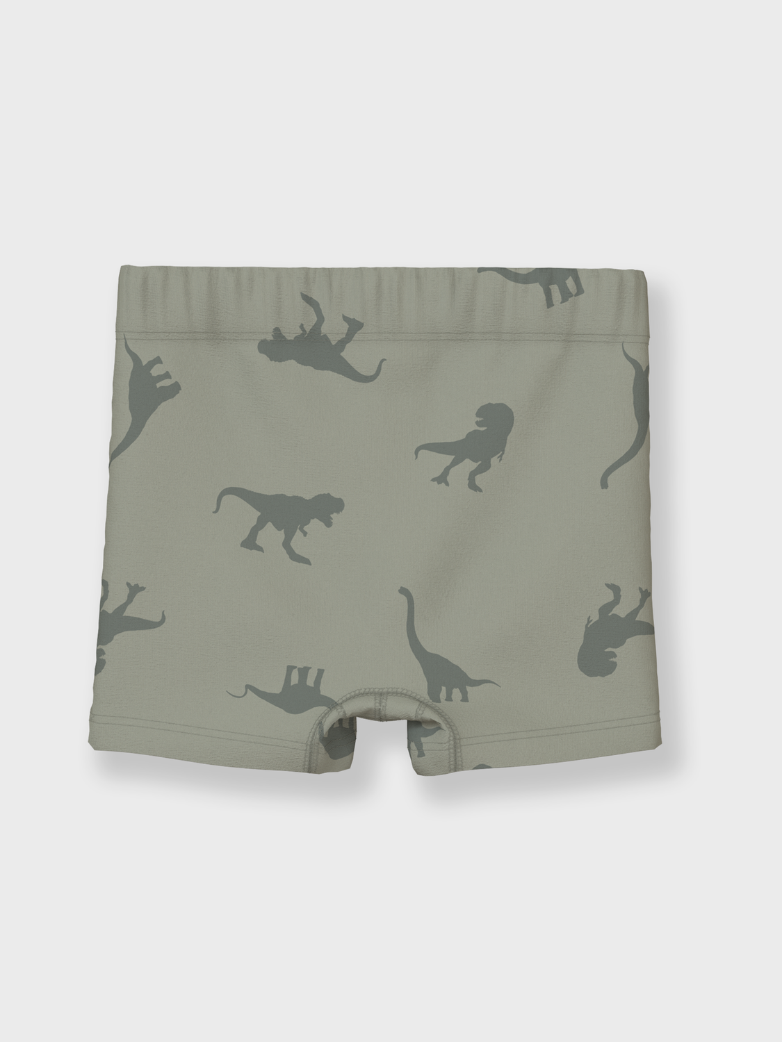 NMMTIGHTS Trunks - Agave Green